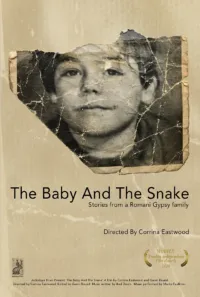 Corrina Eastwood - The Baby and the Snake poster